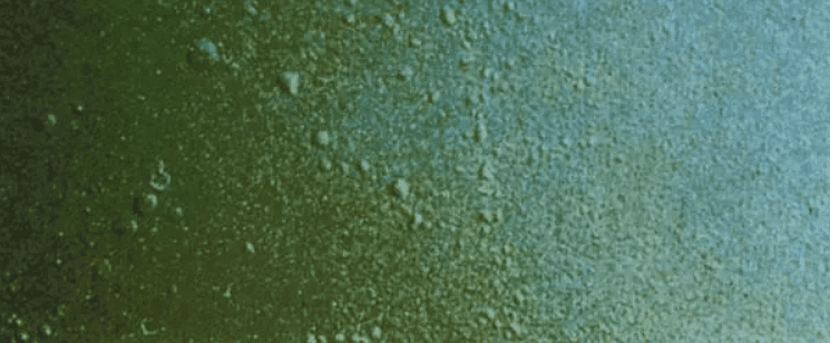 涂料消泡劑應(yīng)用場(chǎng)景展示圖