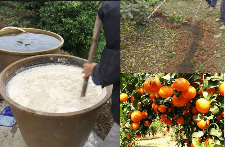 化肥消泡劑應(yīng)用場(chǎng)景圖